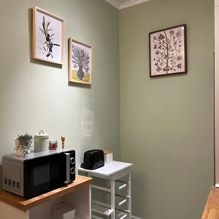 Turistico Plaza I Apartamento Monforte De Lemos